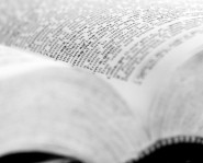 Noun and Verb Thumbnail