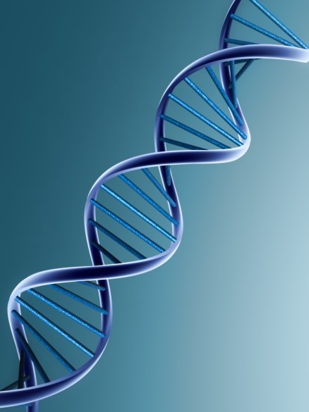 Top 10 dna helix ideas and inspiration